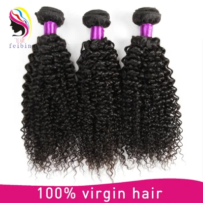 Cheap Wholesale Virgin Unprocessd Virgin Indian Curly Hair