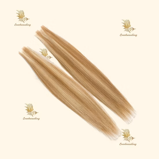 Wholesale Piano Color Natural Hair Double Drawn Straight Virgin Remy Russian Tape Hair Extension