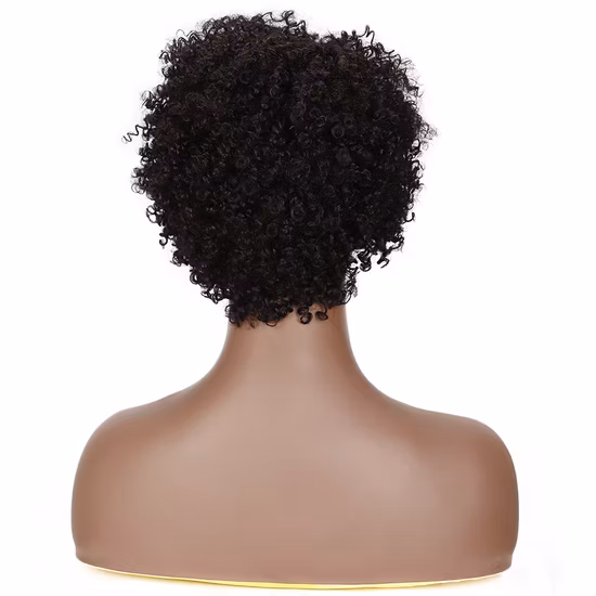 Africa Black Women Colorful Celebration Wig Machine Made Afro Kinky Curly Human Hair Wigs Large in Stock